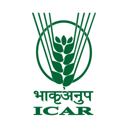 Prof. K C Bansal logo