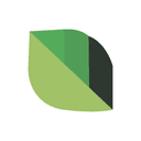 Dr. Bhaskar Rao organisation logo