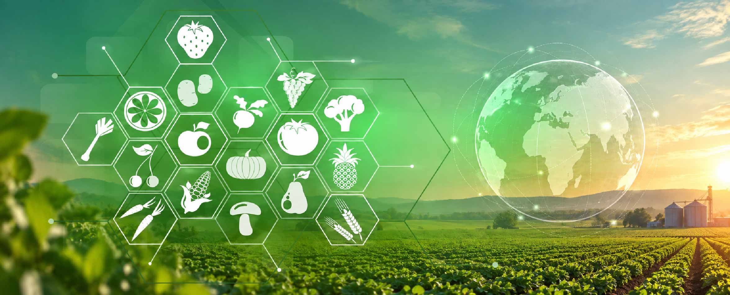 Food Traceability in the Digital Era: Why Visibility Is Becoming Essential to Food-System Resilience