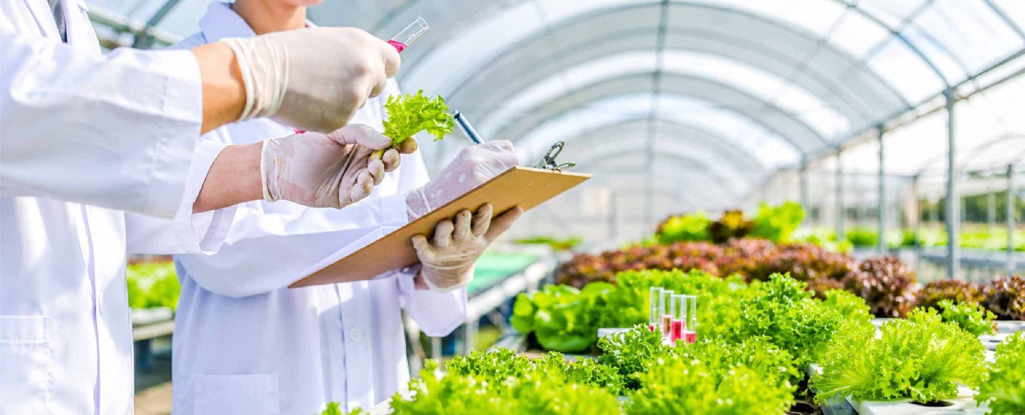 Why Agricultural Research Struggles to Influence Policy — and How to Close the Gap