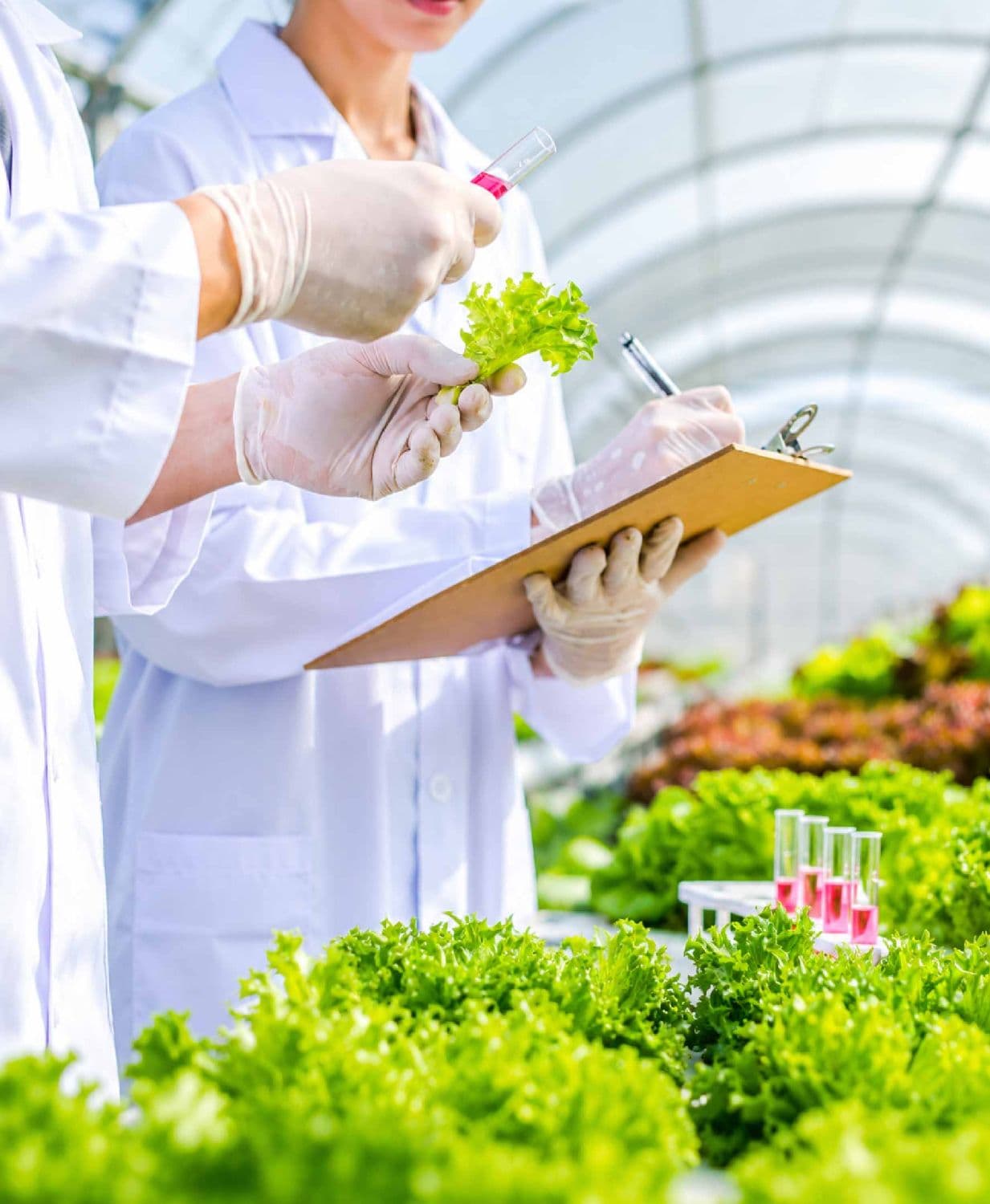 Why Agricultural Research Struggles to Influence Policy — and How to Close the Gap
