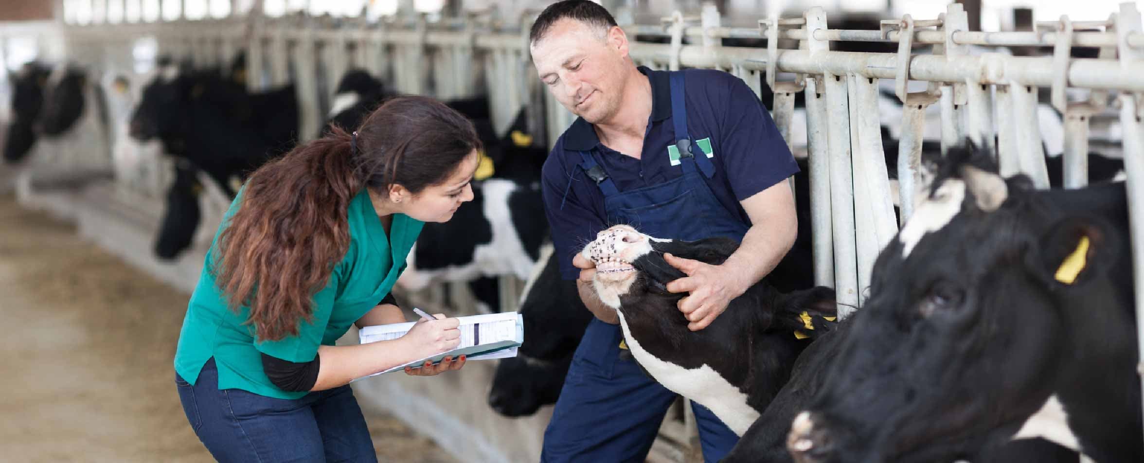 Veterinary and Animal Health Conference 2026: Why GARCX Matters for One Health Professionals