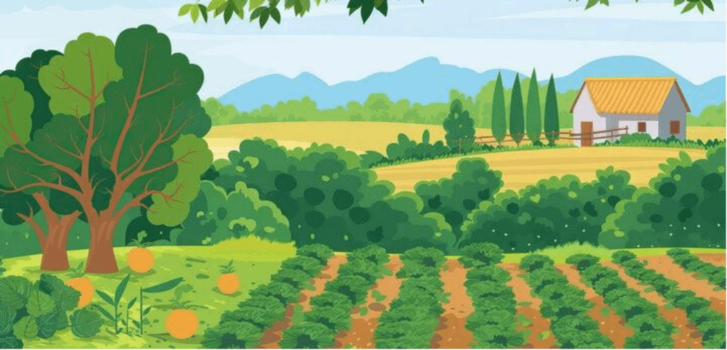 Agroforestry blog image