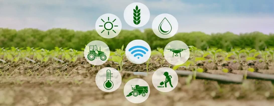 Precision agriculture in mixed farming blog image