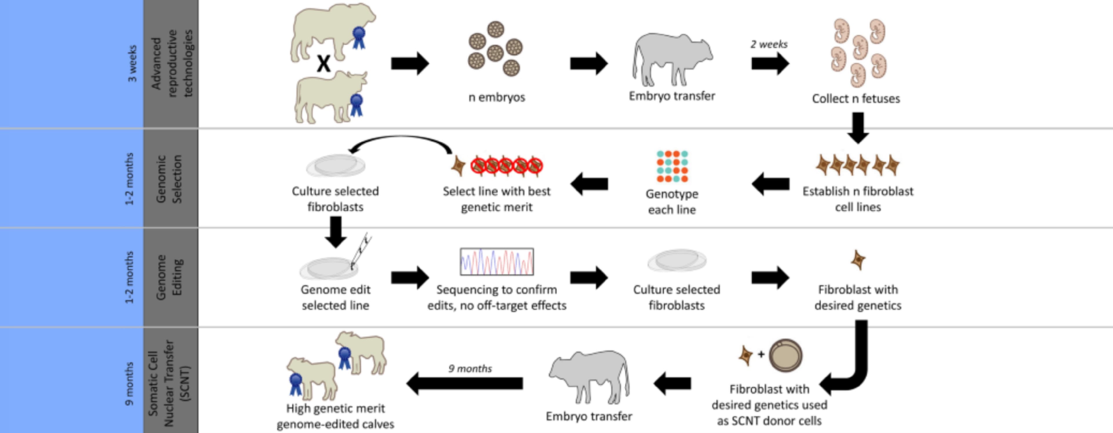 Cattle genomics dairy farming blog image