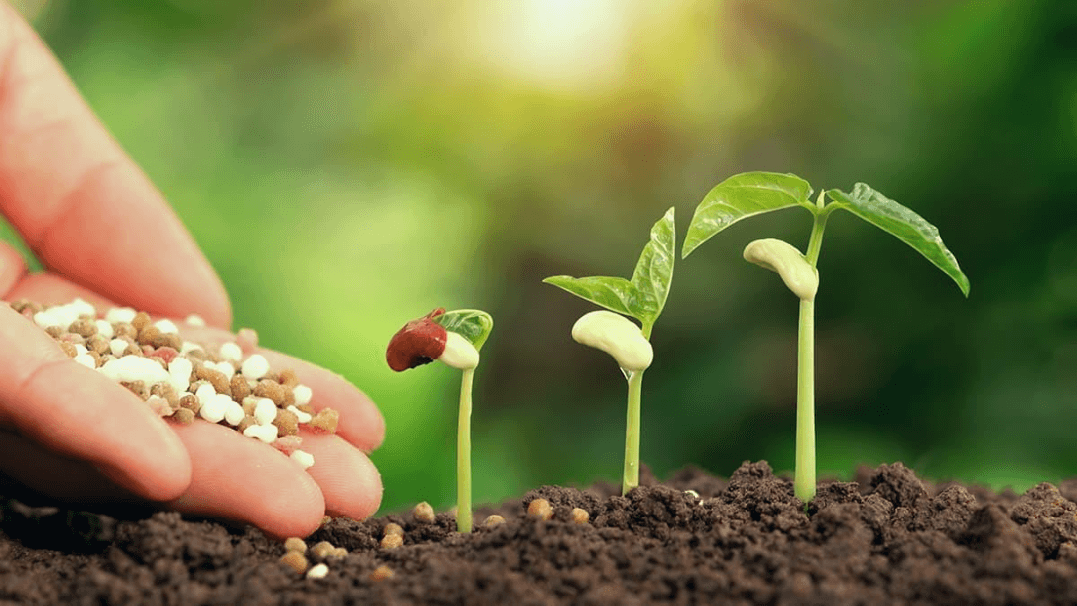 Biofertilizers and biopesticides blog image