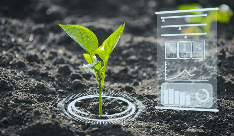 Biofertilizers and biopesticides blog image