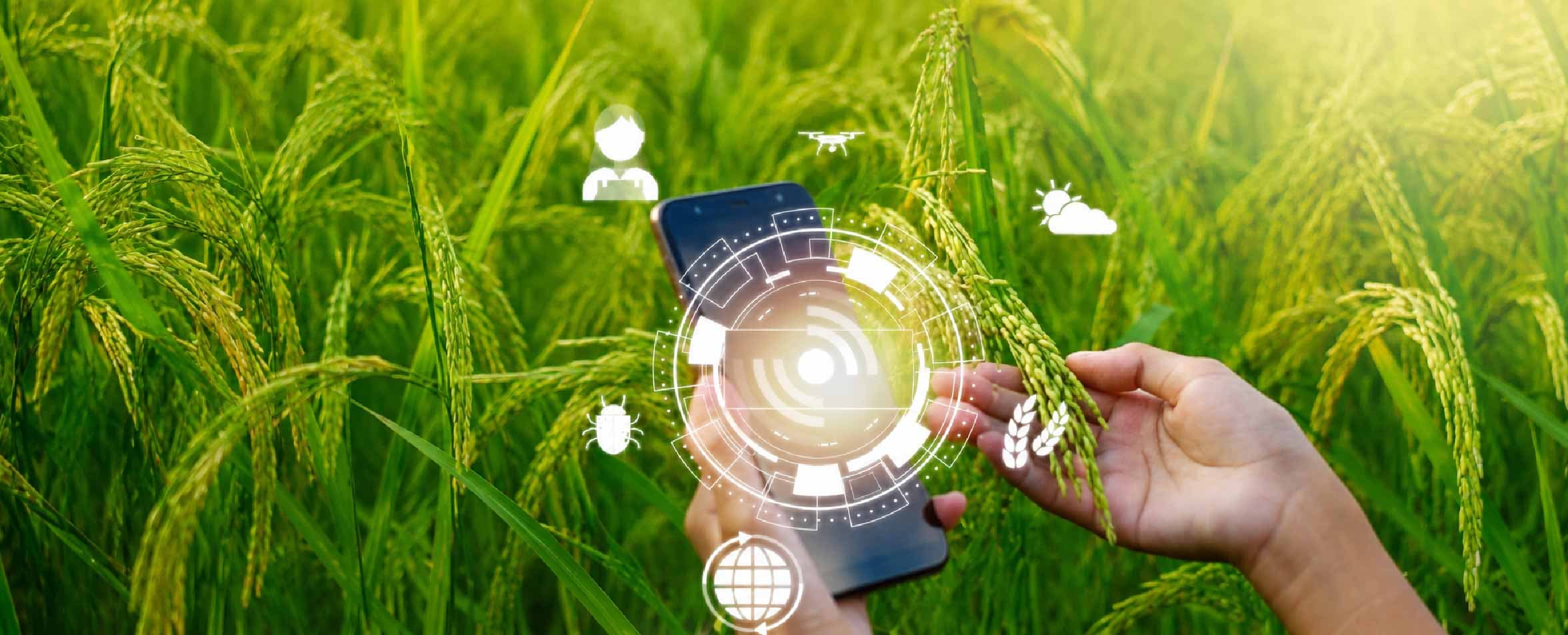 The Global Food System Was Built for Stability
