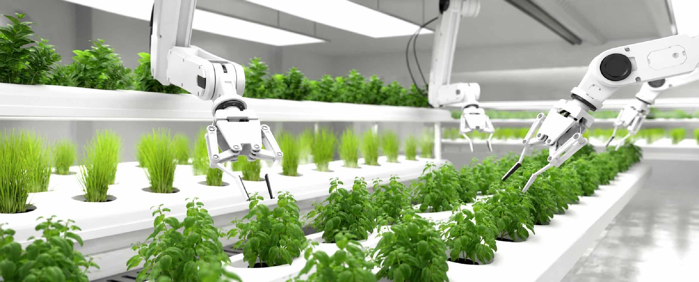 How Artificial Intelligence Is Reshaping Global Agriculture Beyond Precision Farming