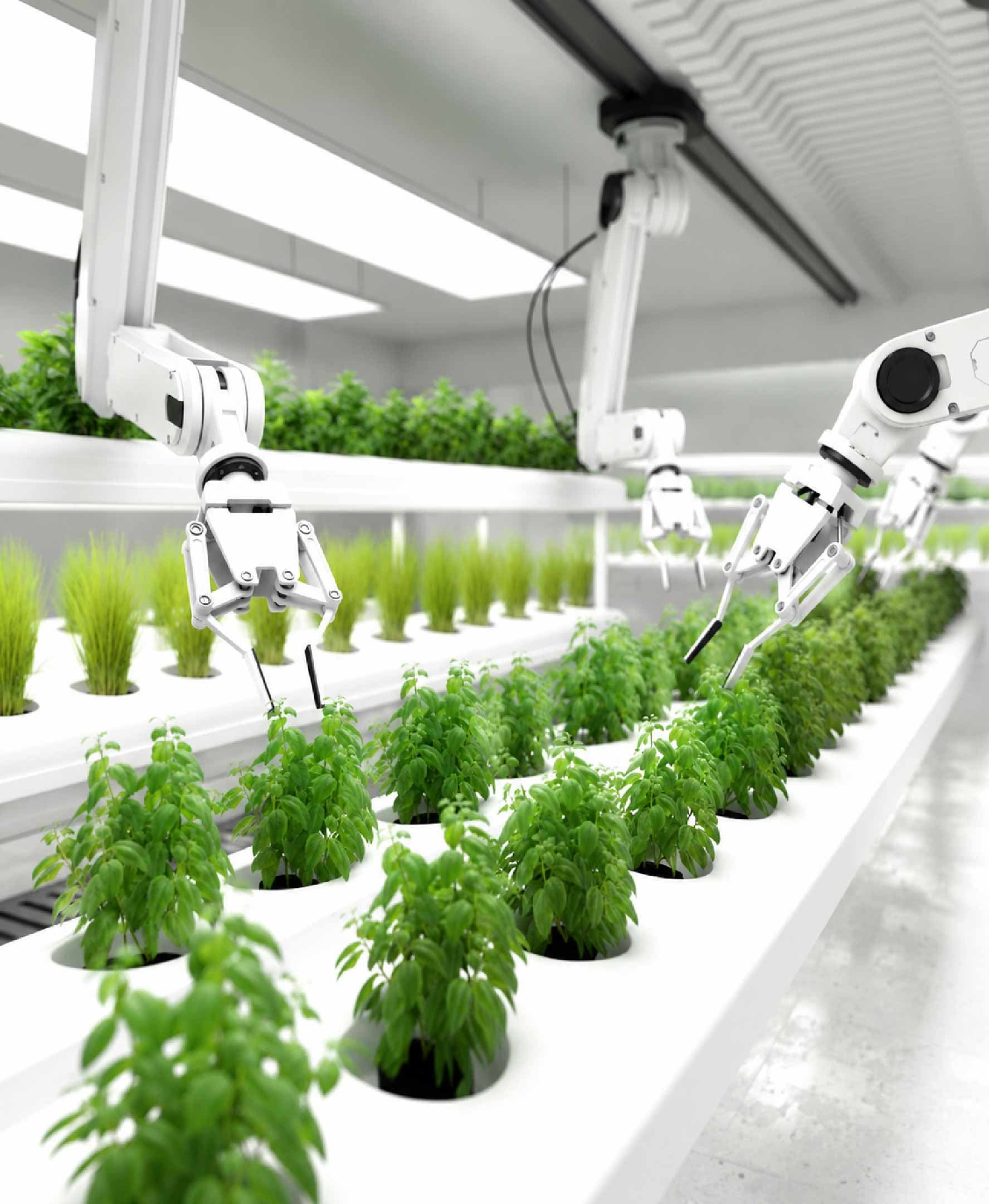 How Artificial Intelligence Is Reshaping Global Agriculture Beyond Precision Farming