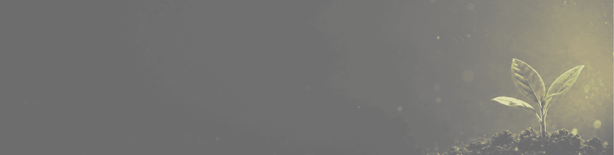 GARCX Impact Ecosystem background