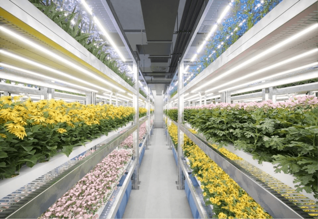 Biofertilizers and biopesticides blog image