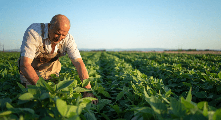 Farming community in field